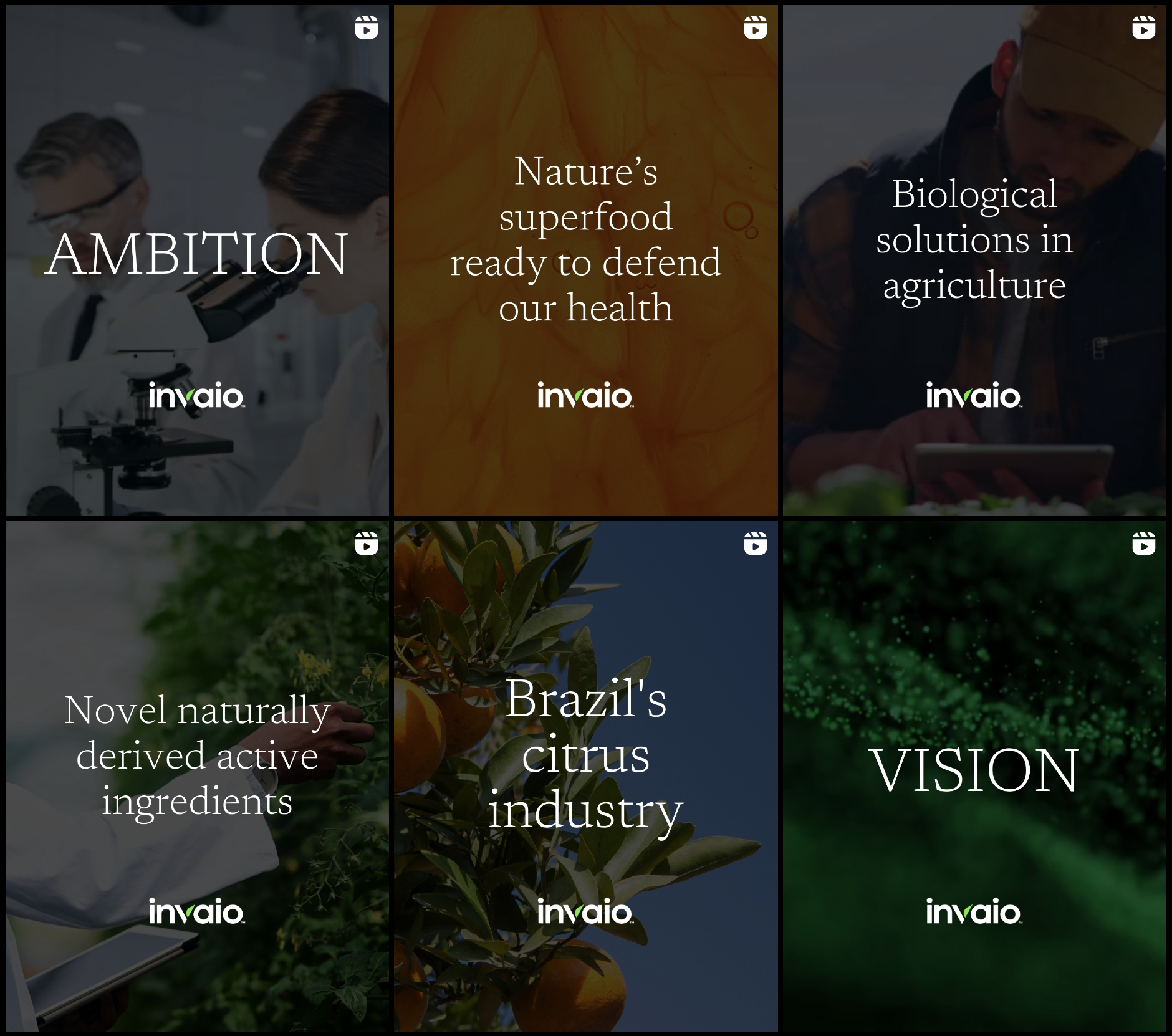 Purpose-driven social copy, campaigns, and content across all channels.