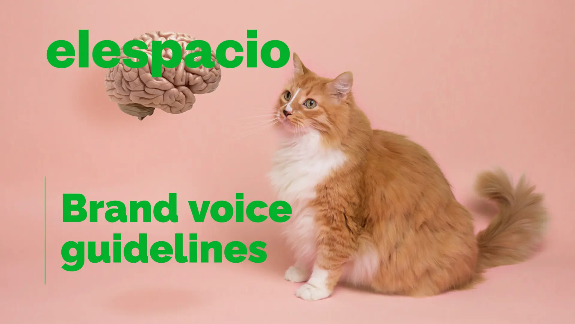 Robust step-by-step brand voice guidelines put together with the creative director.